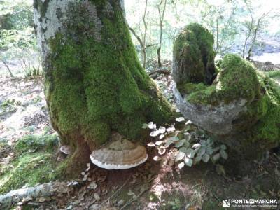 Urbasa-Andía;Aizkorri-Aratz;Aralar; forros polares montaña turismo de naturaleza en españa pueblo